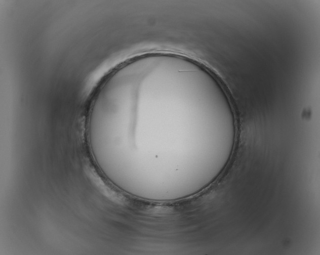 X0000111491503200907281214