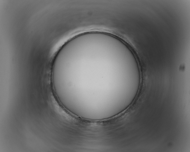 X0000111491504200907281214