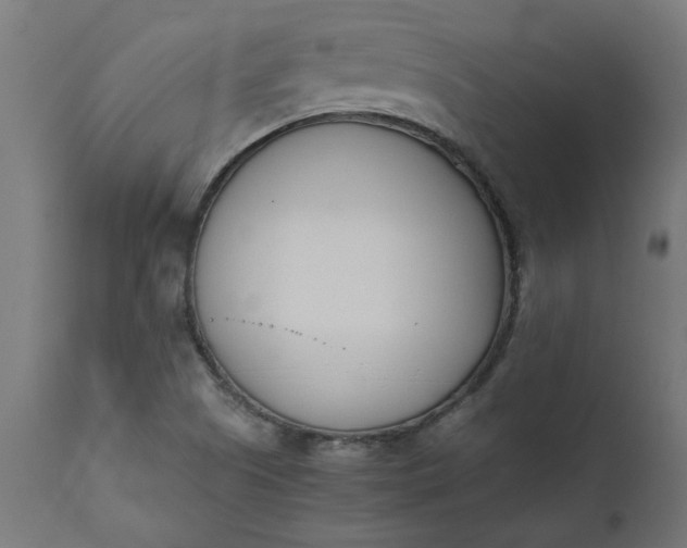 X0000111491505200907281214