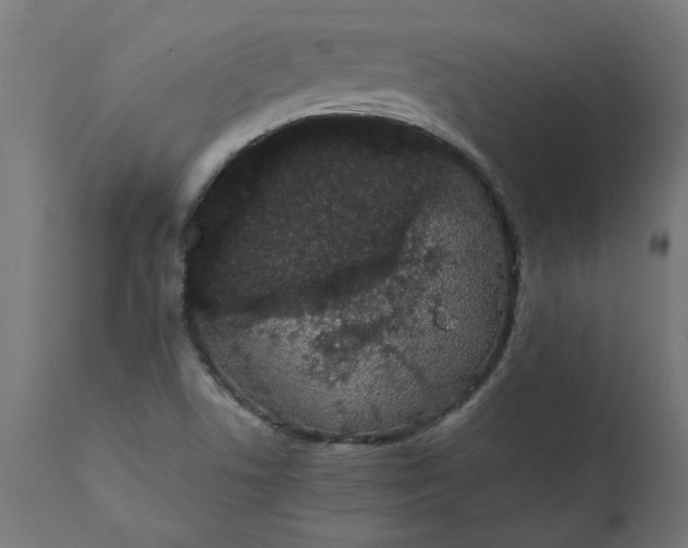 X0000111491506200907281214