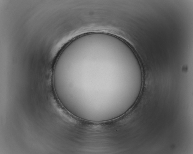 X0000111491507200907281214