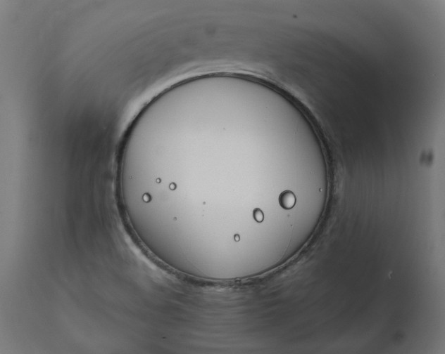 X0000111491508200907281214