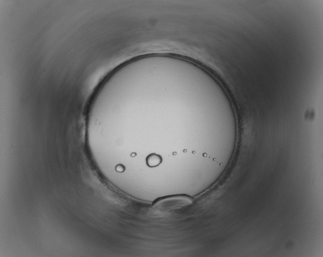 X0000111491509200907281214