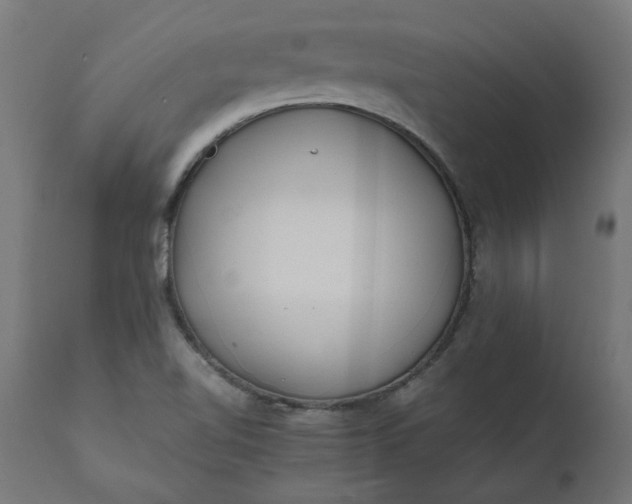 X0000111491510200907281214