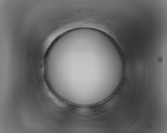 X0000111491511200907281214