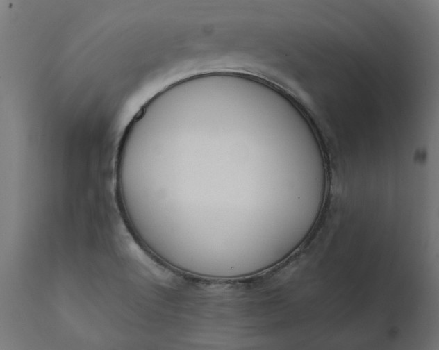 X0000111491512200907281214