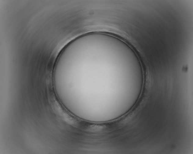 X0000111491513200907281214