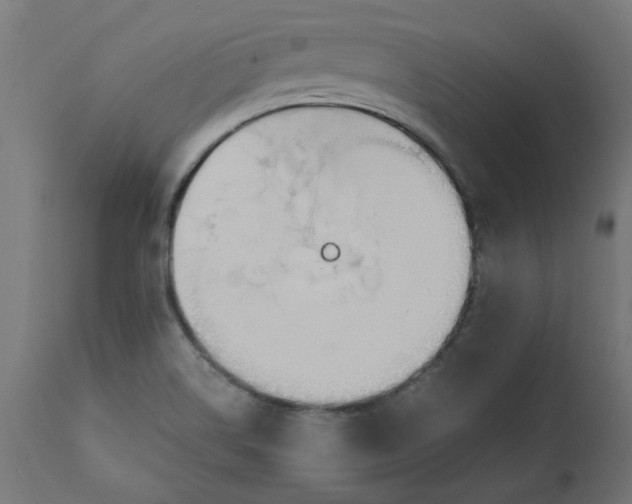 X0000111491514200907281214