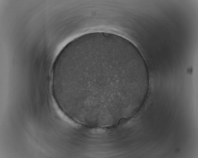 X0000111491515200907281214