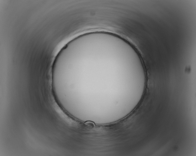 X0000111491516200907281214