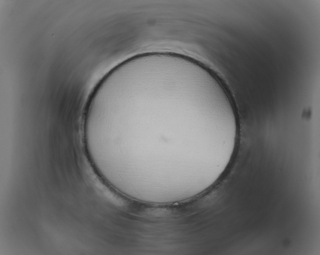 X0000111491517200907281214