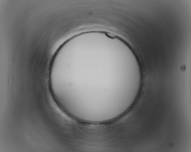 X0000111491518200907281214