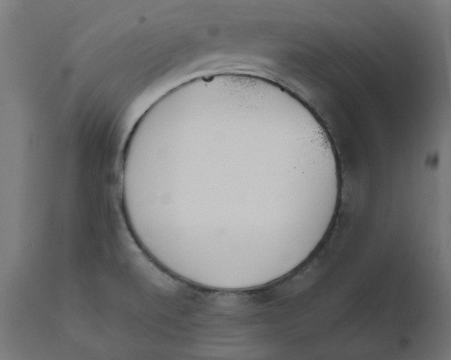 X0000111491520200907281214