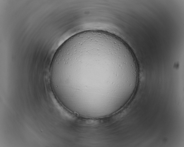 X0000111491521200907281214