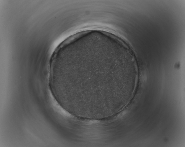 X0000111491522200907281214