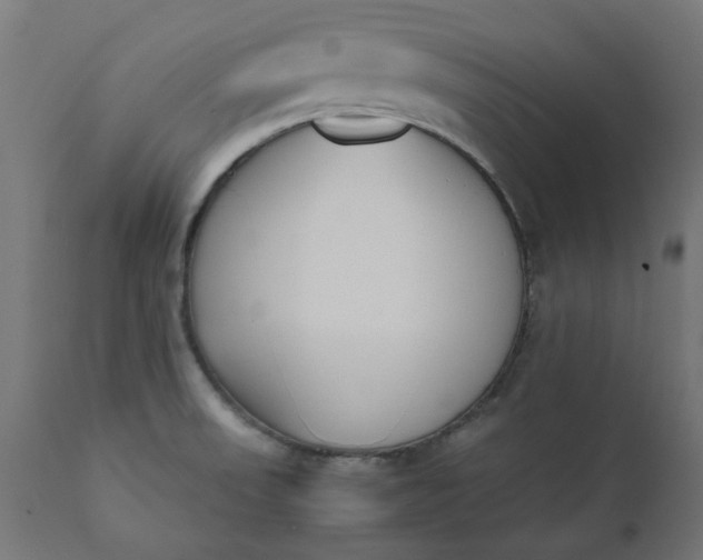 X0000111491523200907281214