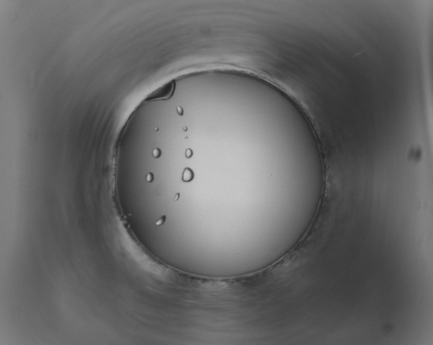 X0000111491524200907281214