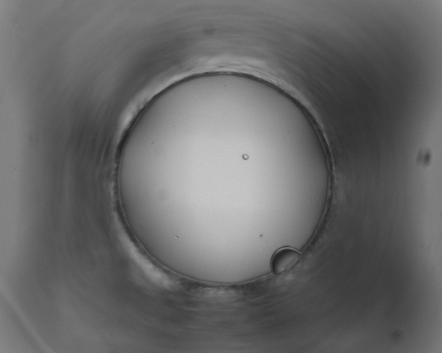 X0000111491525200907281214