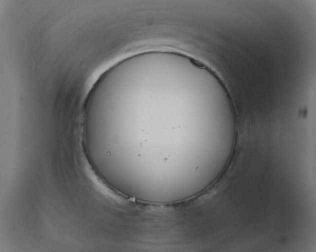 X0000111491526200907281214