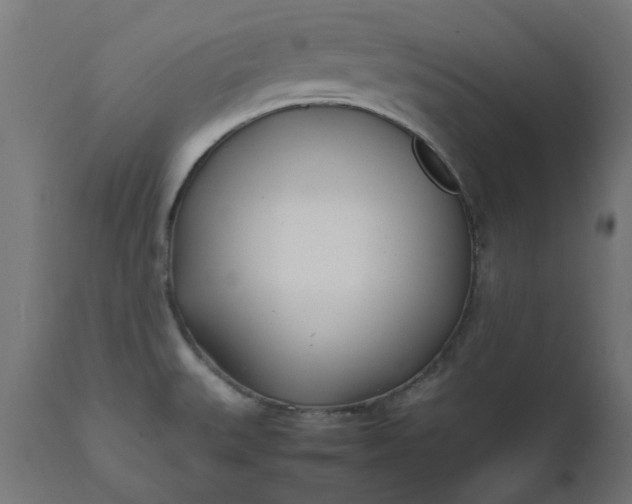 X0000111491527200907281214