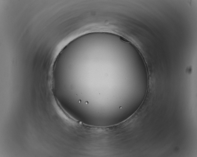 X0000111491528200907281215