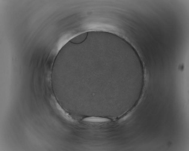 X0000111491529200907281215