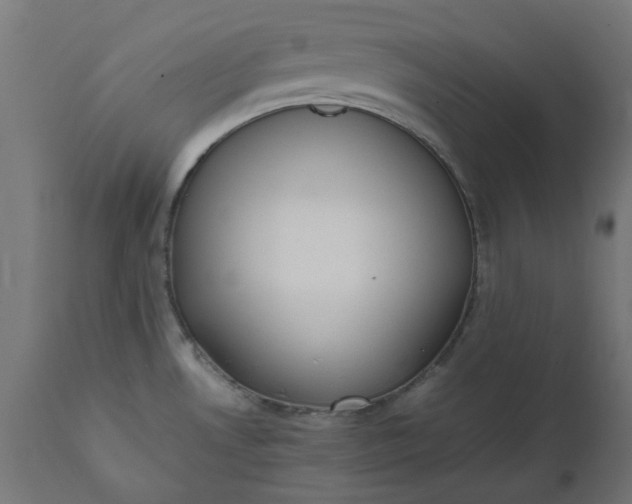 X0000111491530200907281215