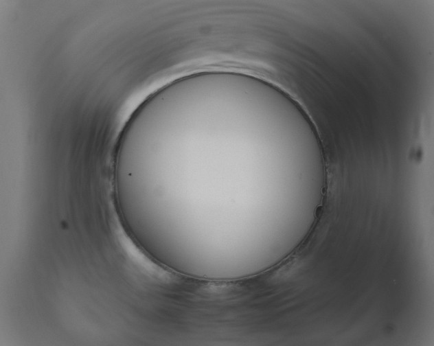 X0000111491531200907281215