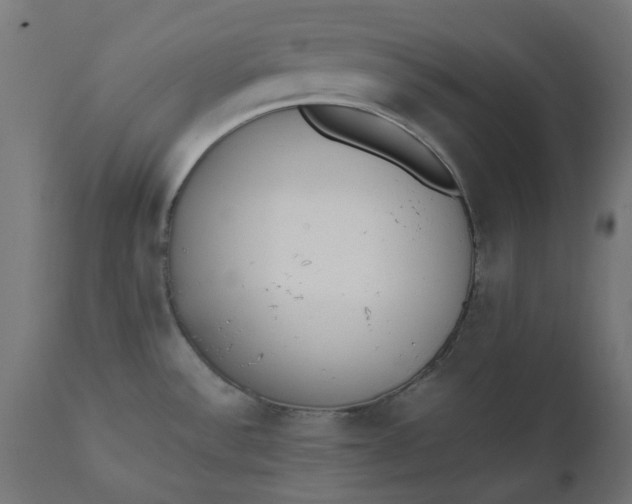 X0000111491532200907281215