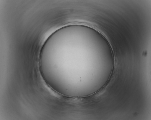 X0000111491533200907281215