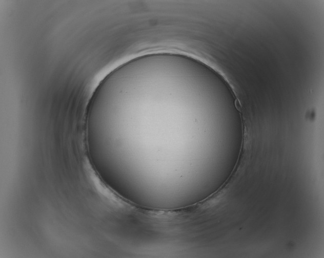 X0000111491534200907281215