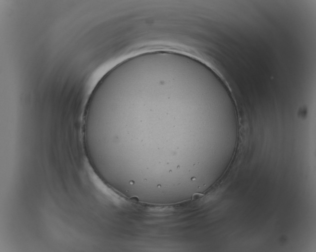 X0000111491535200907281215