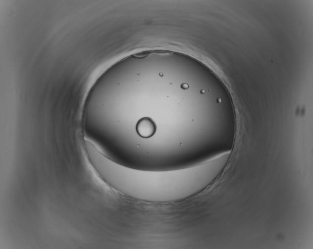 X0000111491536200907281215