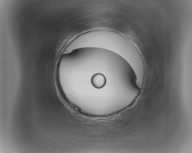 X0000111490001200908041151