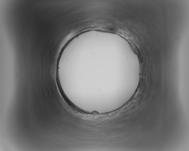 X0000111490003200908041151