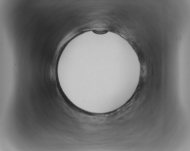 X0000111490004200908041151