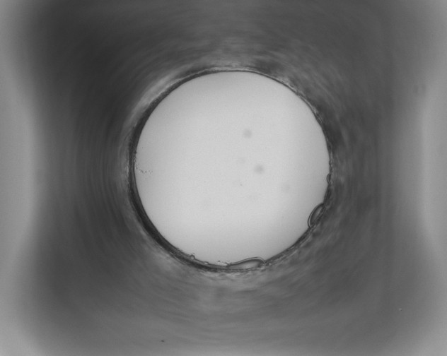 X0000111490005200908041151