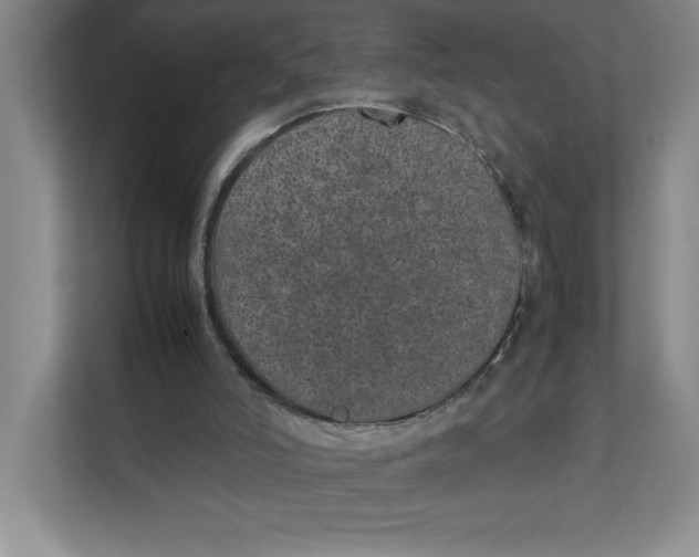 X0000111490006200908041151