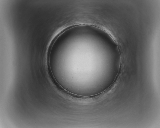 X0000111490008200908041151