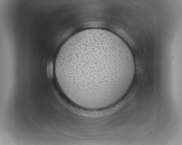 X0000111490014200908041151