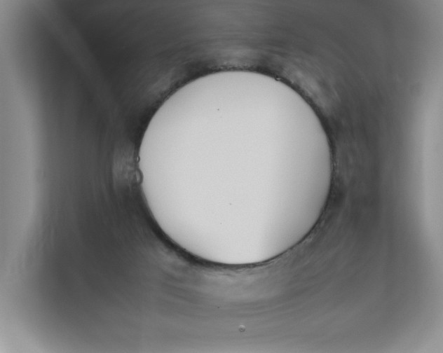 X0000111490017200908041151