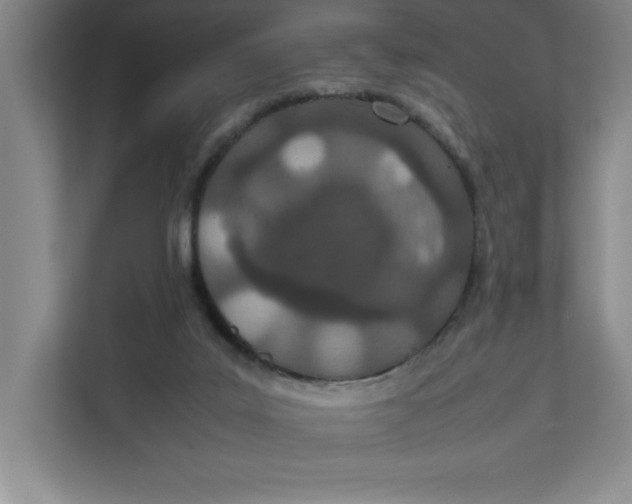 X0000111490019200908041151