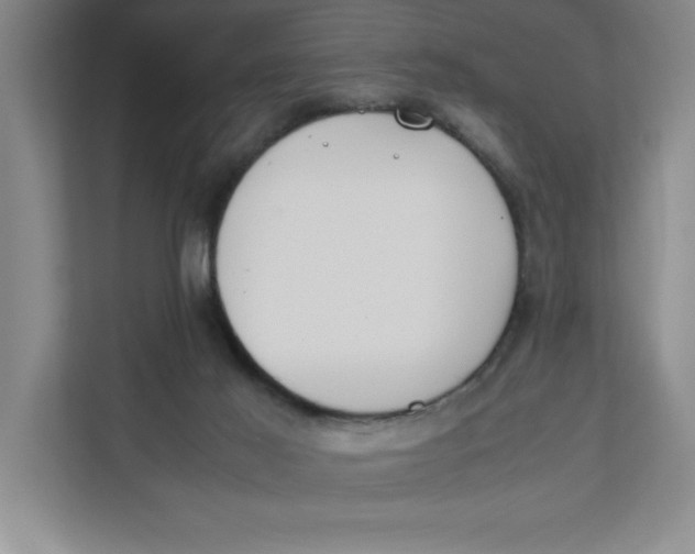 X0000111490021200908041151