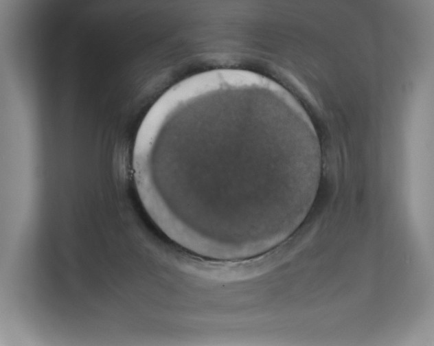 X0000111490023200908041151