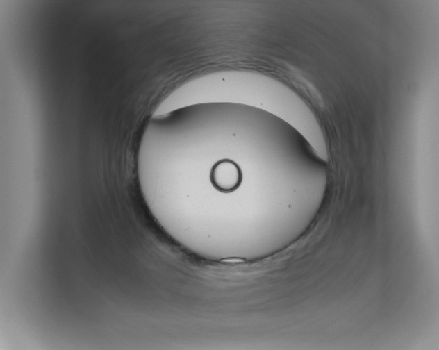 X0000111490025200908041151