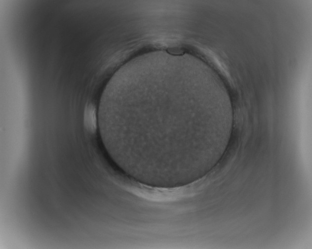 X0000111490027200908041151