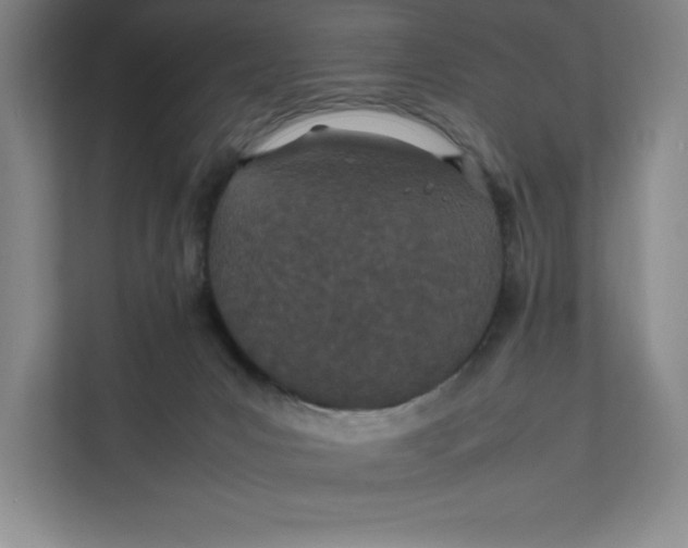 X0000111490031200908041151