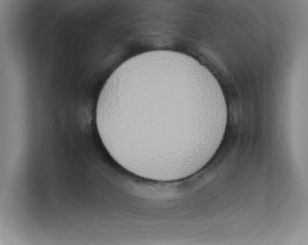 X0000111490032200908041151