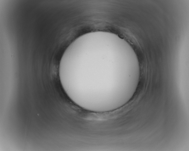 X0000111490033200908041151