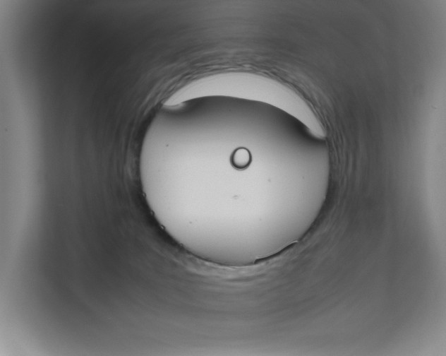 X0000111490035200908041151